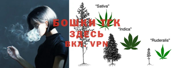 apvp Аркадак