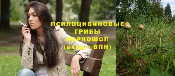 apvp Аркадак