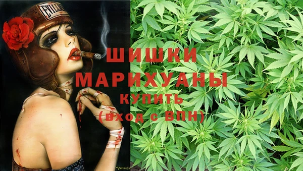 apvp Аркадак